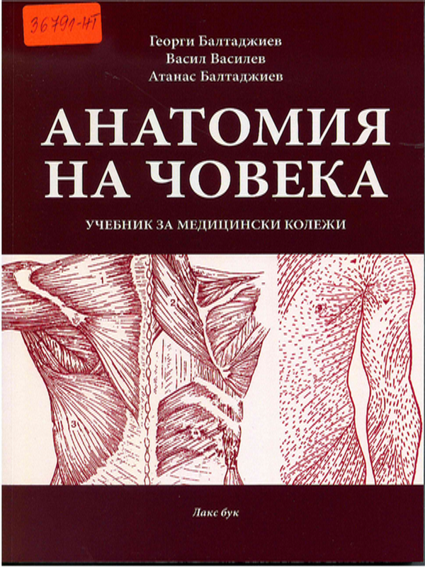 Анатомия на човека