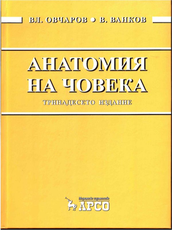 Анатомия на човека