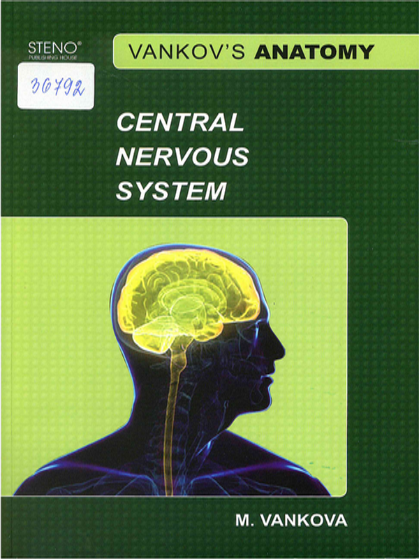 Vankov`s anatomy