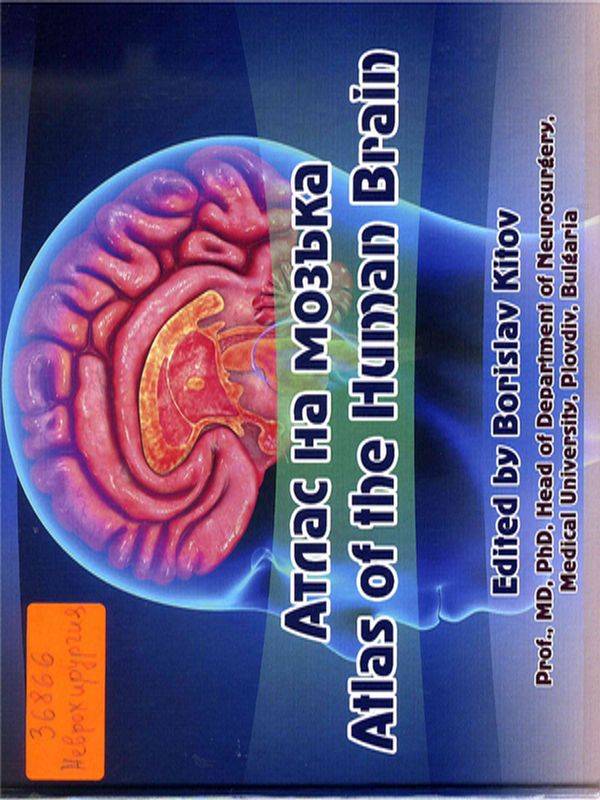 Атлас на мозъка