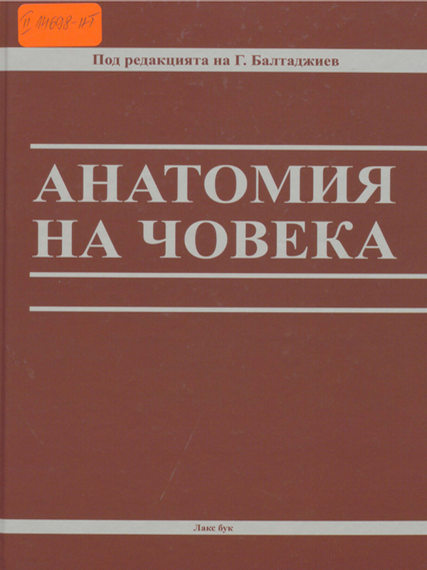 Анатомия на човека