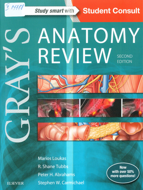Gray`s anatomy review