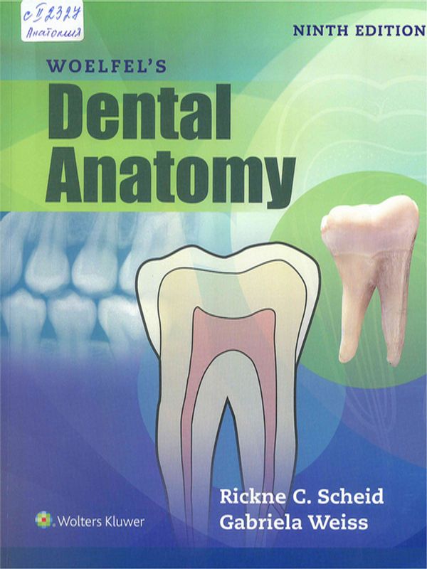 Woelfel`s Dental Anatomy