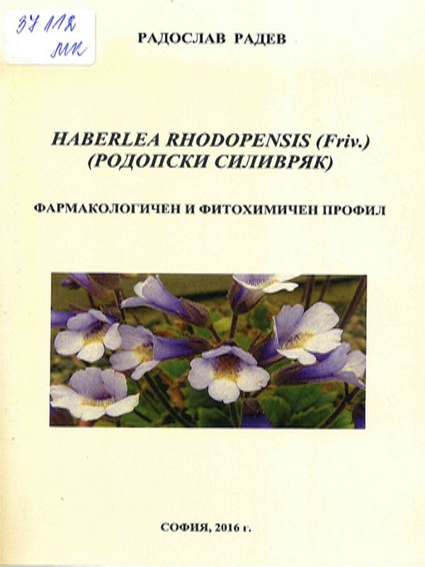 Haberlea rhodopensis (Родопски силивряк)
