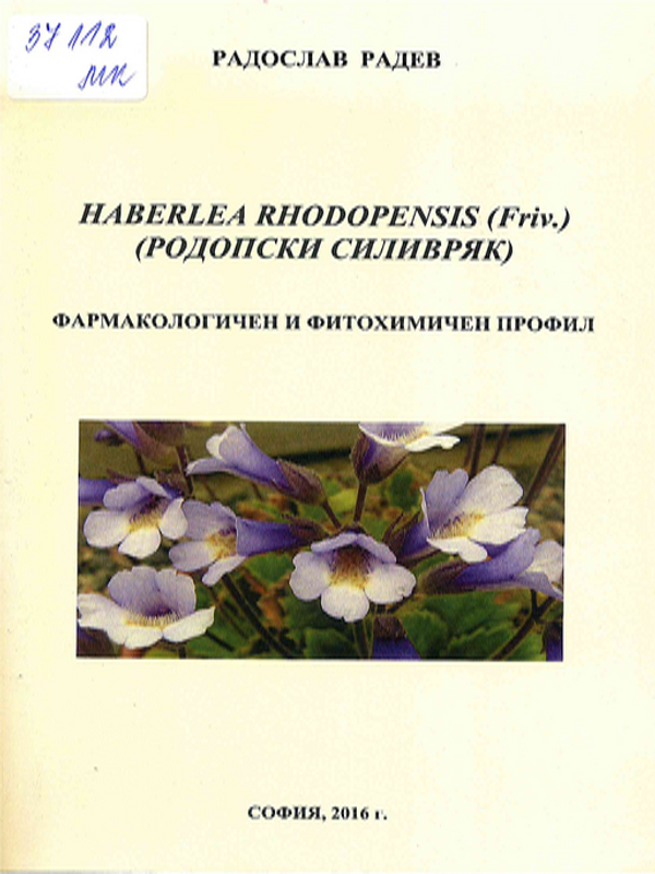 Haberlea rhodopensis (Родопски силивряк)