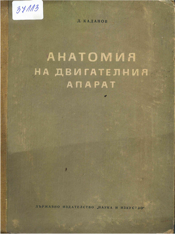 Анатомия на двигателния апарат