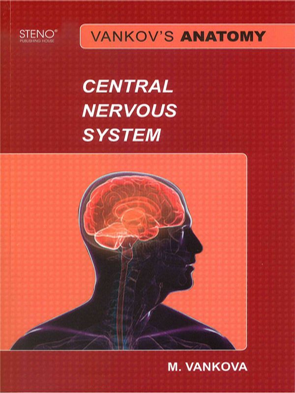 Vankov`s anatomy