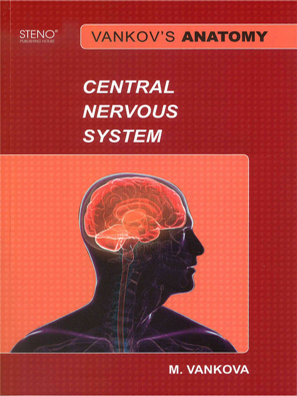 Vankov`s anatomy