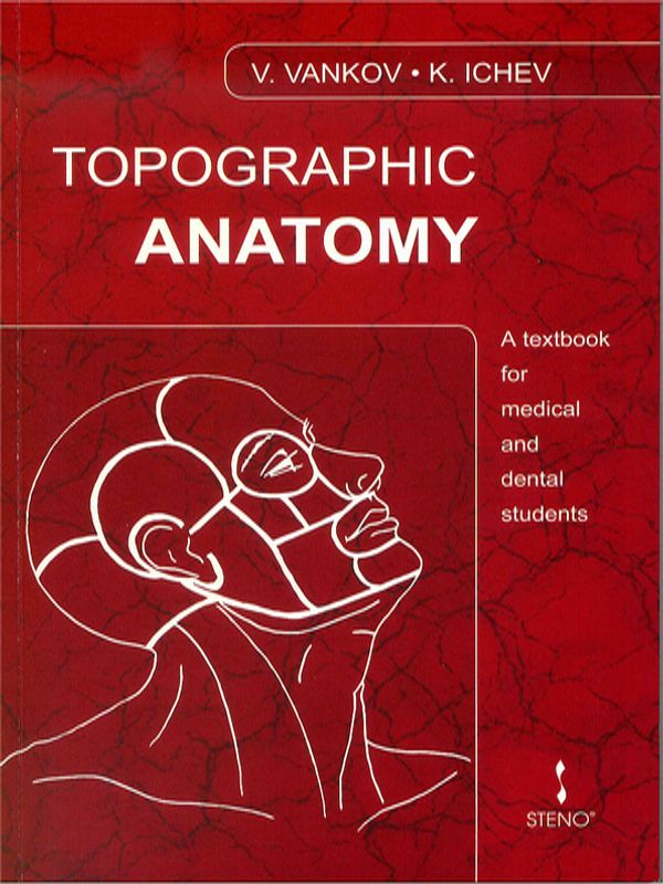 Topographic anatomy