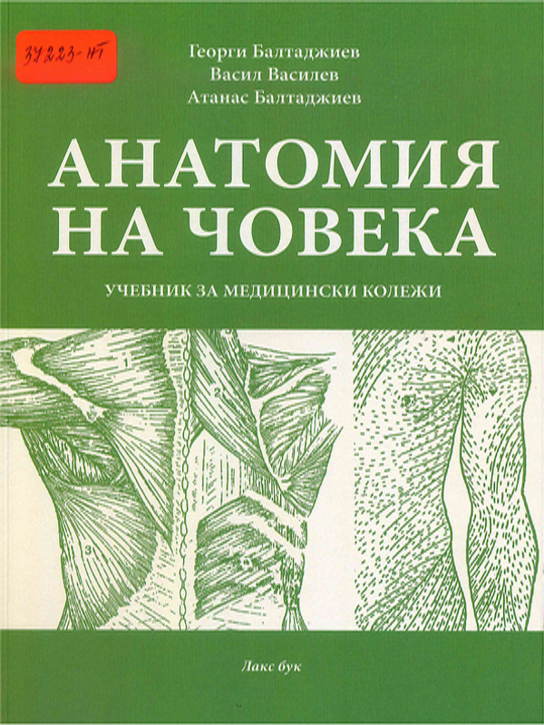 Анатомия на човека