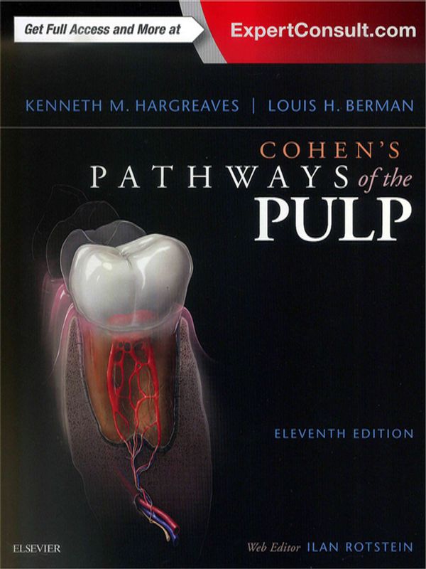 Cohen`s pathways of the pulp