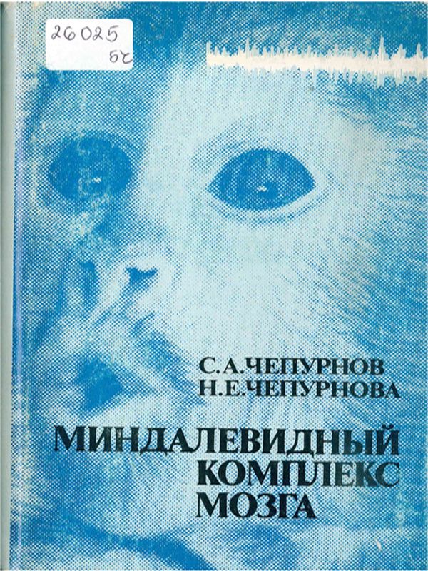 Миндалевидный комплекс мозга