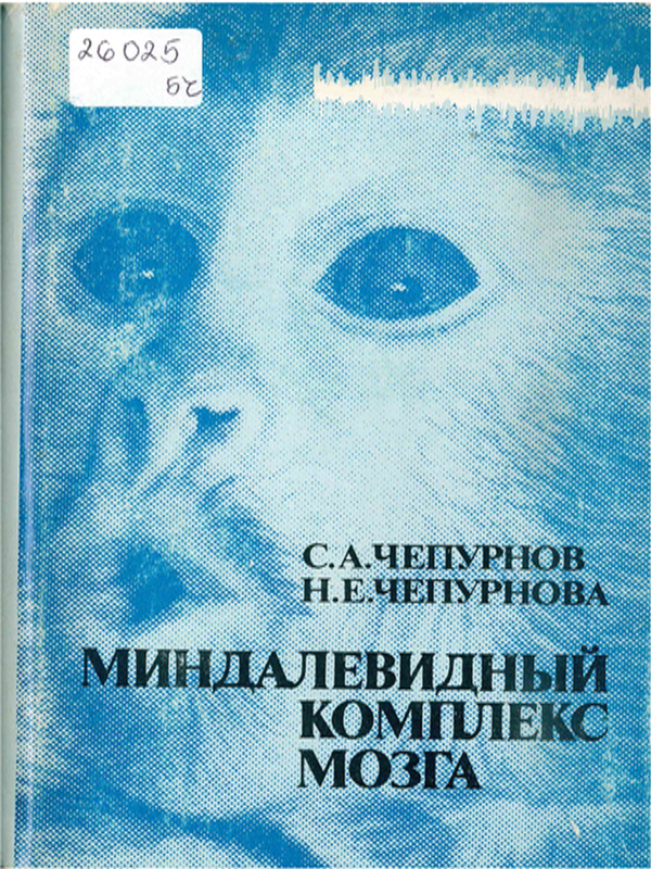 Миндалевидный комплекс мозга