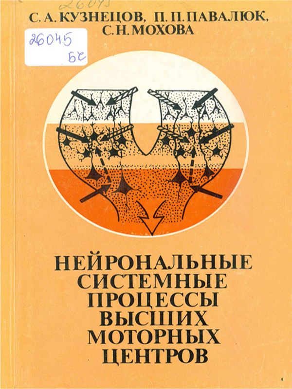 Нейрональные системные процессы высших моторных центров
