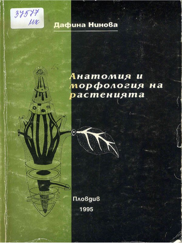 Анатомия и морфология на растенията