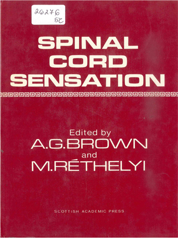 Spinal cord sensation