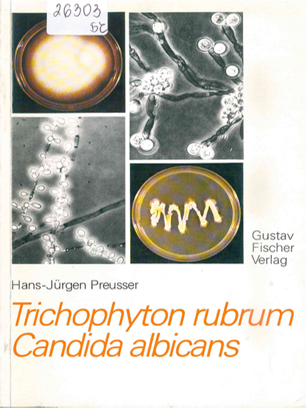 Trichophyton rubrum Candida albicans