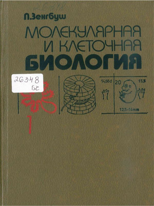 Молекулярная и клеточная биология