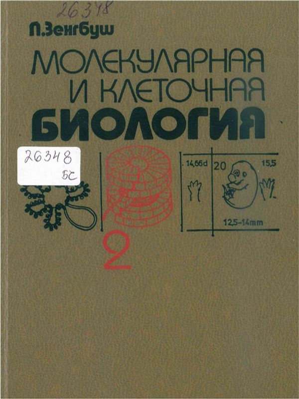 Молекулярная и клеточная биология