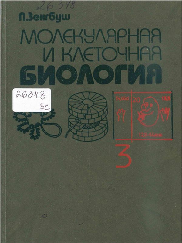 Молекулярная и клеточная биология