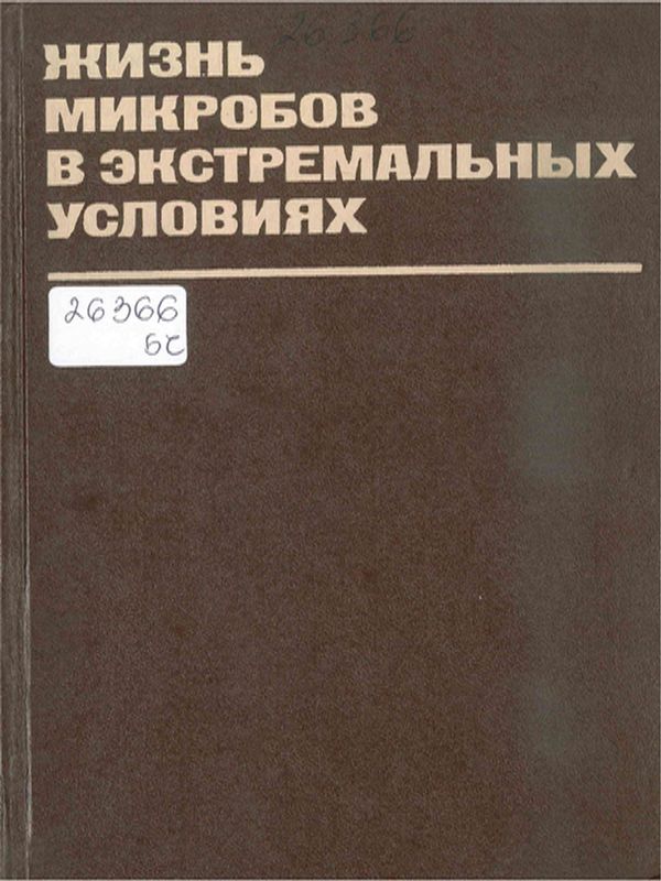 Жизнь микробов в экстремальных условиях