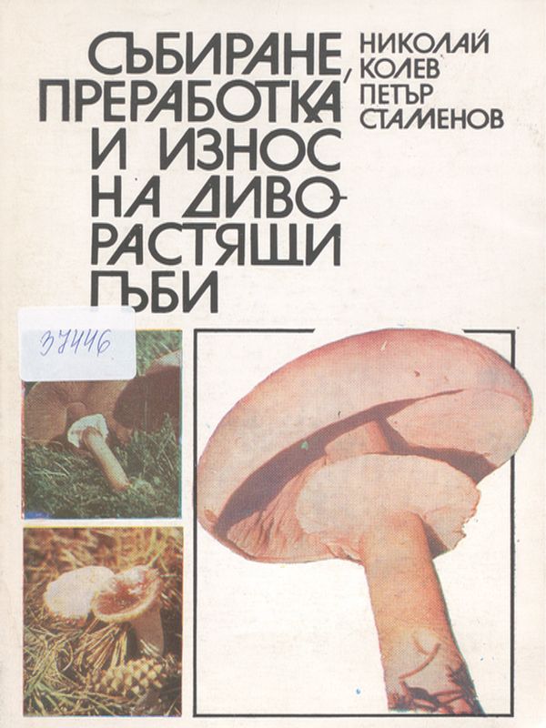 Събиране, преработка и износ на диворастящи гъби