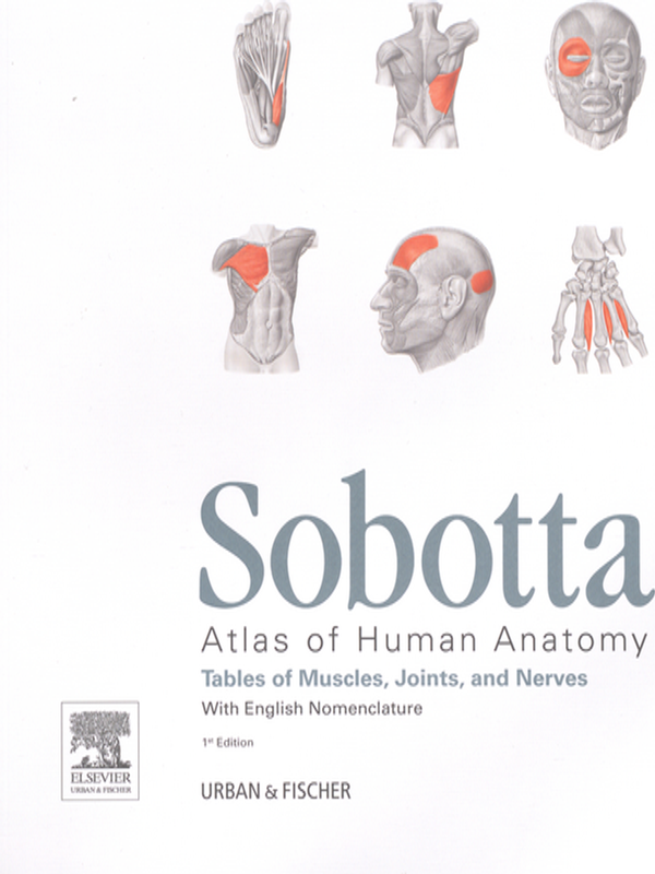 Sobotta : Atlas of human anatomy