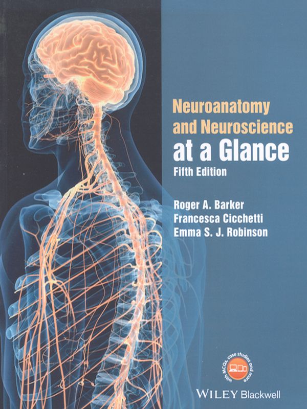 Neuroanatomy and neuroscience at a glance