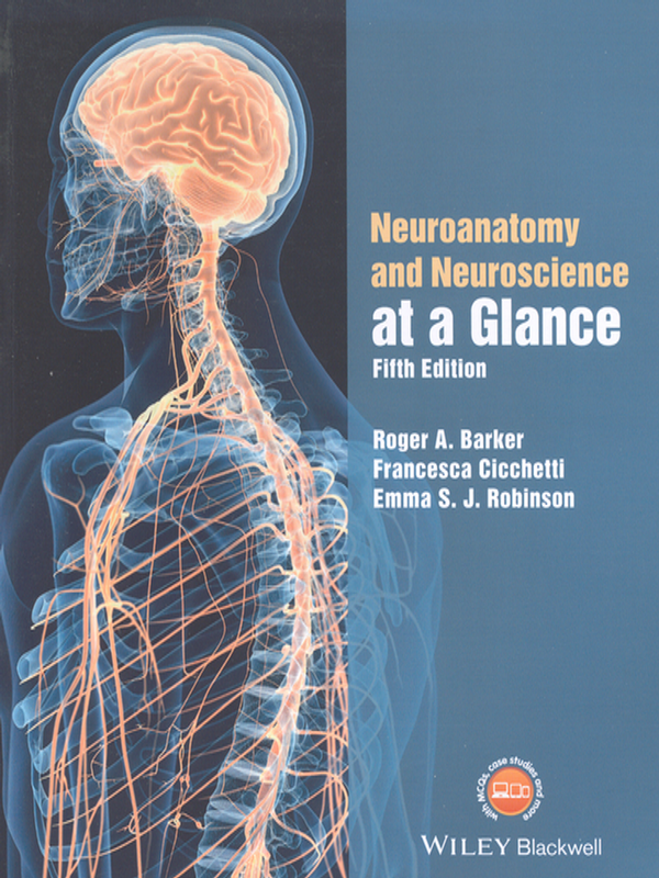 Neuroanatomy and neuroscience at a glance