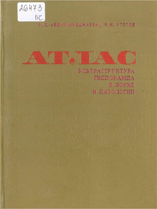 Ультраструктура гиппокампа в норме и патологии