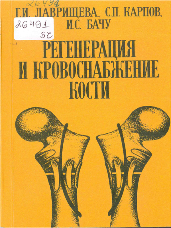 Регенерация и кровоснабжение кости
