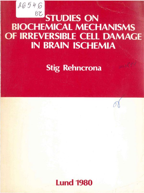 Studies on biochemical mechanisms of irreversible cell damage in brain ischemia