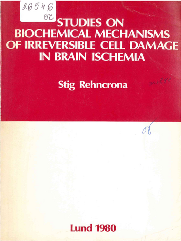Studies on biochemical mechanisms of irreversible cell damage in brain ischemia