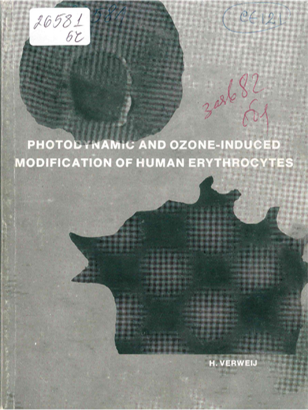 Photodynamic and ozone-induced modification of human erythrocytes