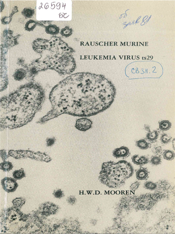 Rauscher murine leukemia virus ts 29