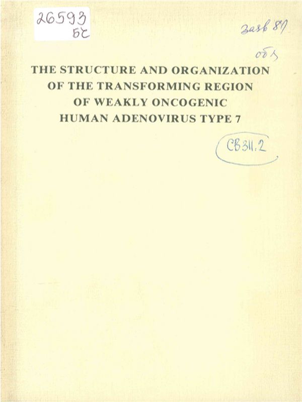 The structure and organization of the transforming region of weakly oncogenic human adenovirus Type 7