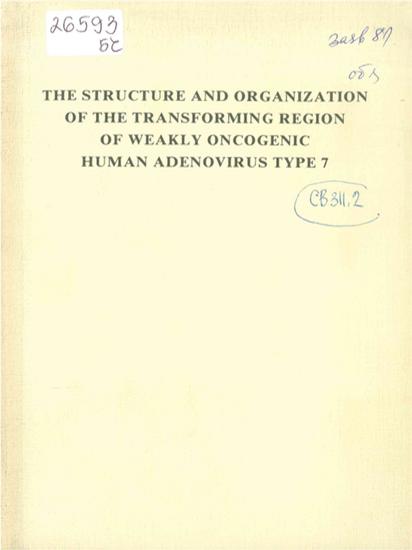 The structure and organization of the transforming region of weakly oncogenic human adenovirus Type 7