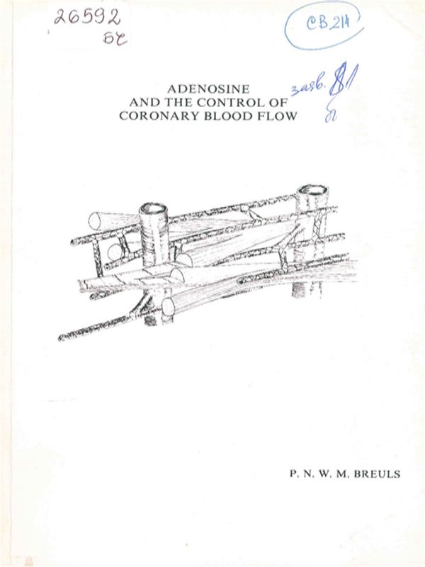 Adenosine and the control of coronary blood flow