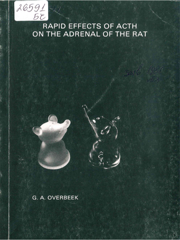 Rapid effects of ACTH on the adrenal of the rat