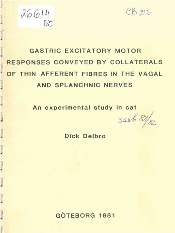 Gastric excitatory motor responses conveyed by collaterals of thin aferent fibres in the vagal and splanchnic nerves