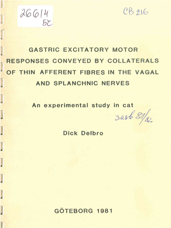Gastric excitatory motor responses conveyed by collaterals of thin aferent fibres in the vagal and splanchnic nerves