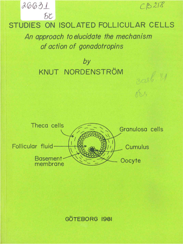 Studies on isolated follicular cells