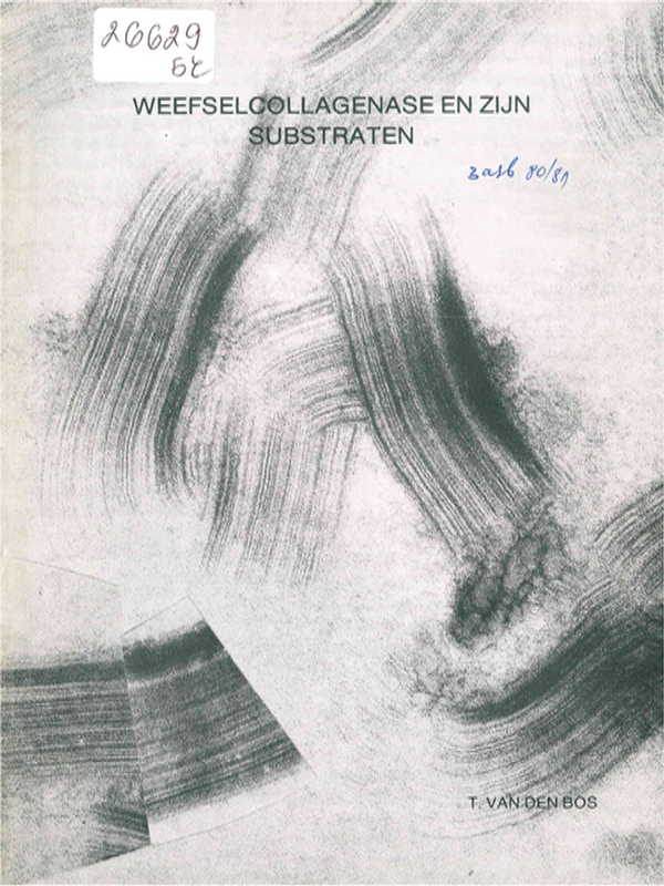 Weefselcollagenase en zijn substraten