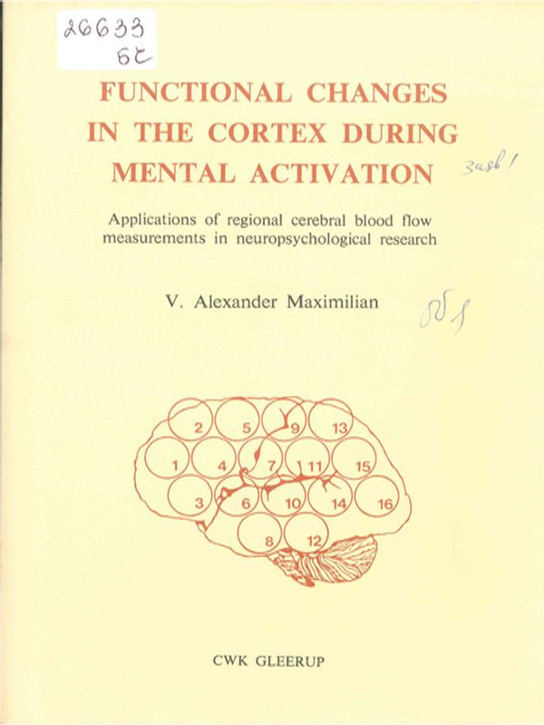 Functional changes in the cortex during mental activation