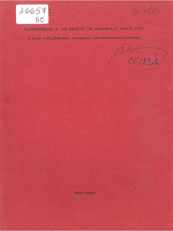 Haemophilia A: an absent or abnormal molecule?
