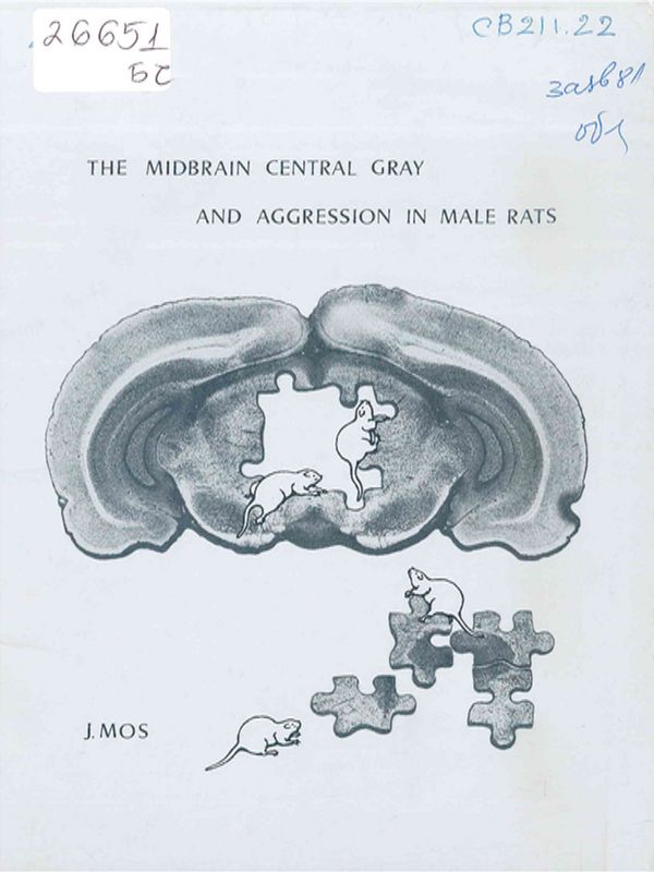The midbrain central gray and aggresion in male rats