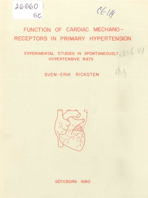 Function of cardiac mechano-receptors in primary hypertension
