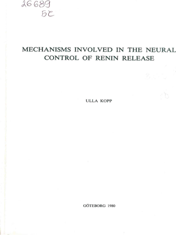 Mechanisms involved in the neural control of renin release