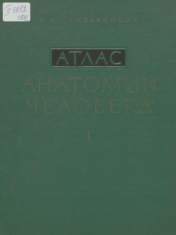 Атлас анатомии человека