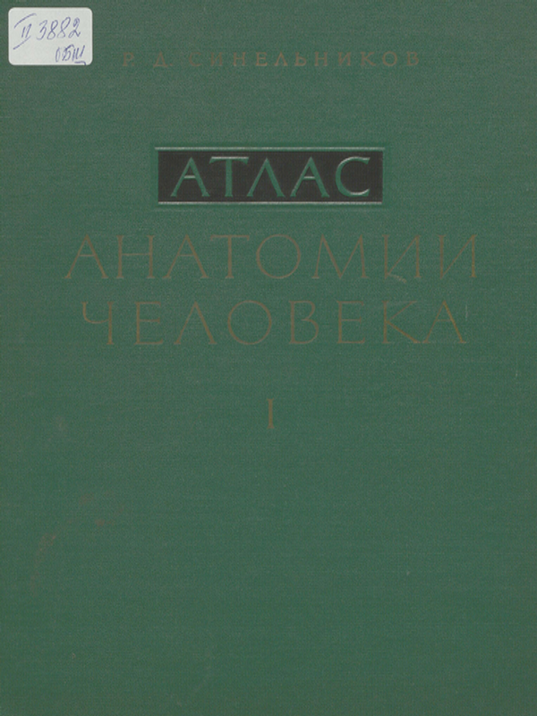 Атлас анатомии человека